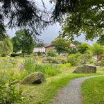 Machbarkeitsstudie zur qualitativen Aufwertung des Kurparks Schierke